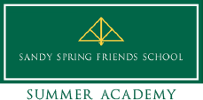 Summer Academy at SSFS
